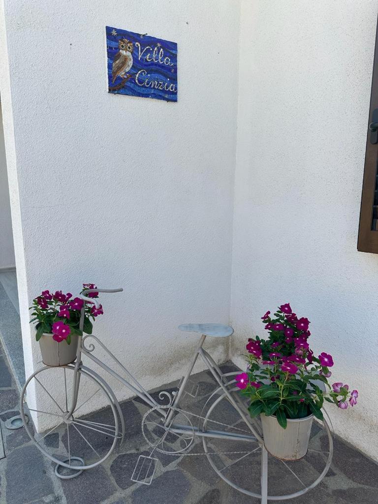 Villa Cinzia ตาเนาเนลลา ภายนอก รูปภาพ